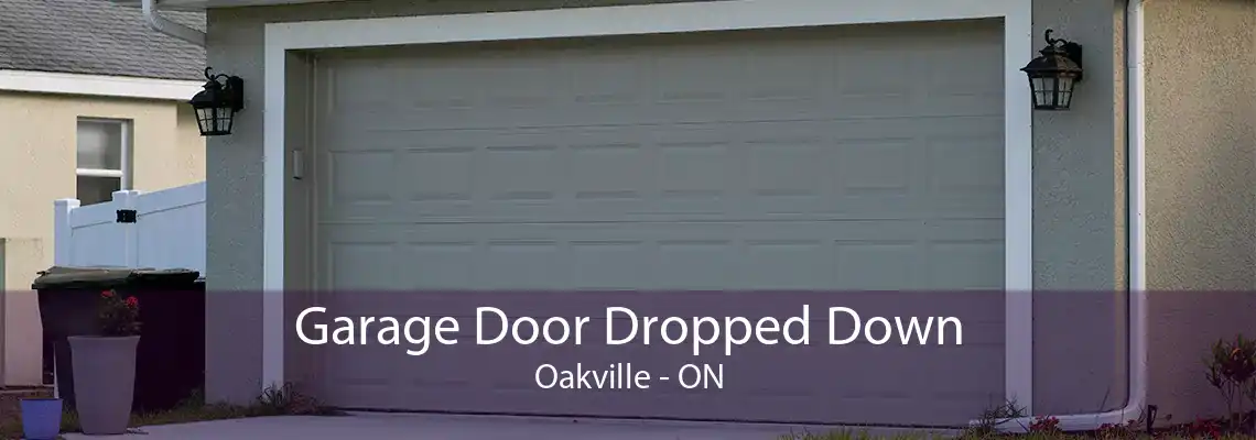  Garage Door Dropped Down Oakville - ON