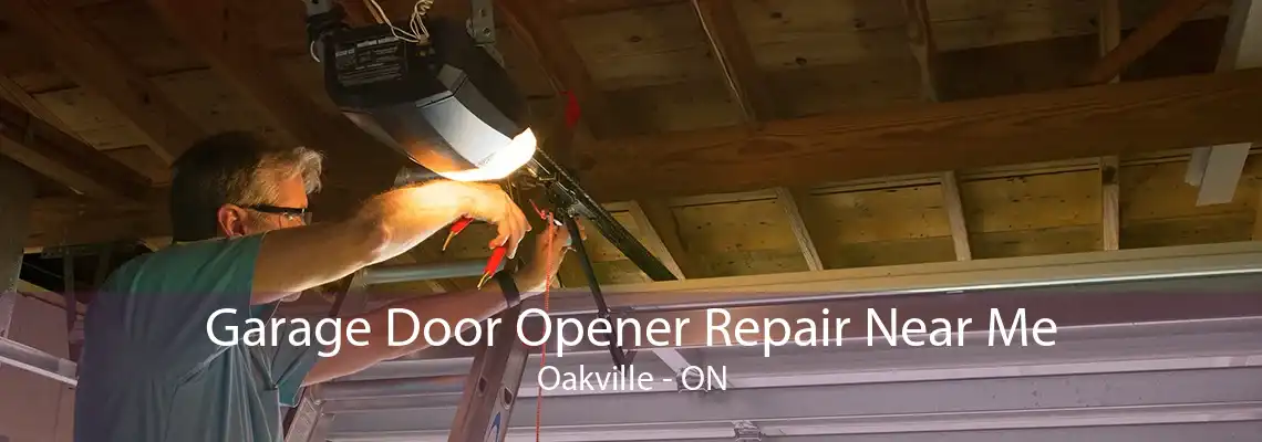  Garage Door Opener Repair Near Me Oakville - ON