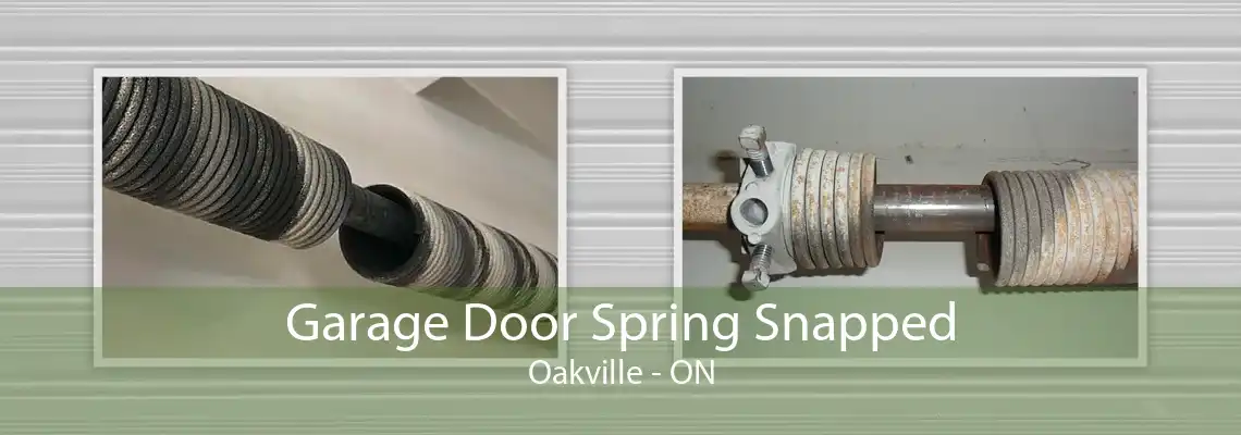  Garage Door Spring Snapped Oakville - ON