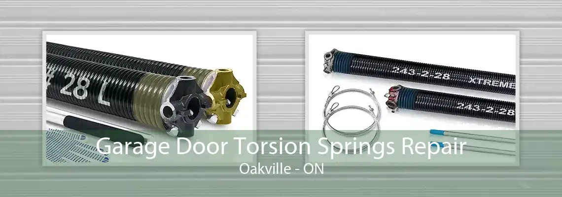 Garage Door Torsion Springs Repair Oakville - ON