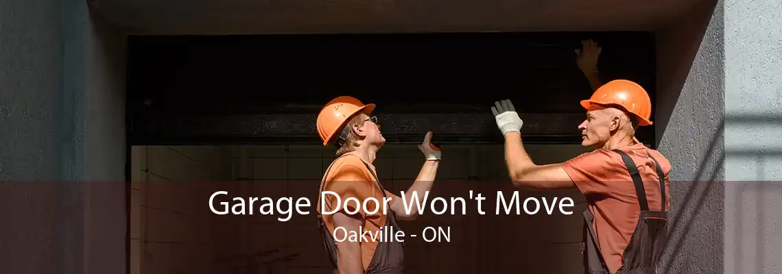 Garage Door Won't Move Oakville - ON